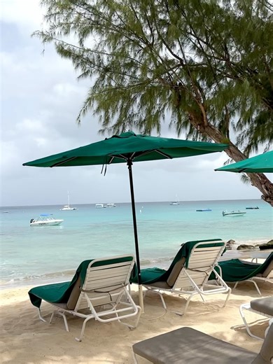 Coral Reef Club on Reels