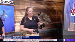 Meet Rwe: Zoo Atlanta's milk eagle owl