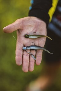 Smeltinator Jig & Underspin for Late Summer/Fall Bass Fishing 👌🎣 #TeamNorthlandTackle Bassmaster Elite Series Pro Jeff Gustafson gives some insight to fishing the Smeltinator Jig and Smeltinator Underspin during the later part of the summer and into the fall! | Northland Fishing Tackle