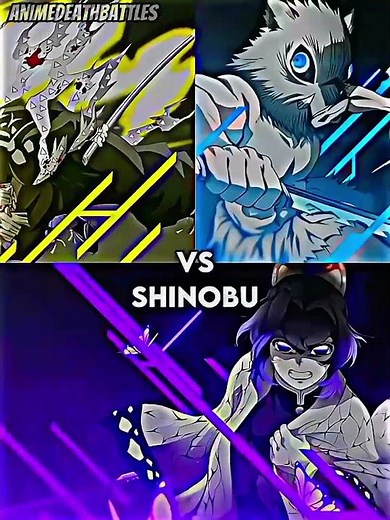 Zenitsu Agatsuma & Inosuke Hashibira VS Demon Slayer