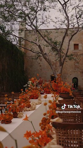 Lupita Tirado on TikTok