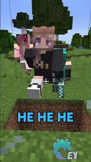 Minecraft, But I Made my Minecraft Server Public…