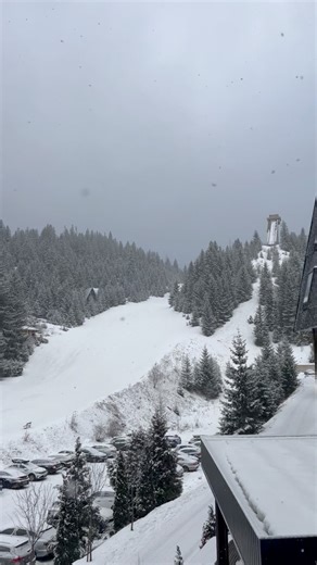 😍😍😍 | Vlasic LIVE