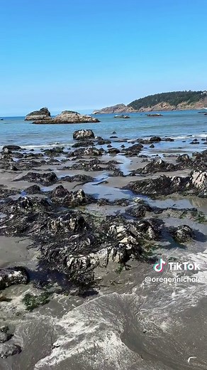 Battle rock wayside in Port Orford is one of my favorite Oregon beaches #pnw #pnwlife #pnwonderland #naturetherapy #summer #hiking #coast #oregon #oregoncoast #pnwadventures #southernoregoncoast #battlerockwaysidepark