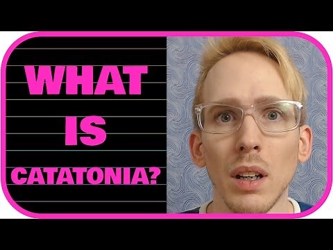 What is Catatonia?