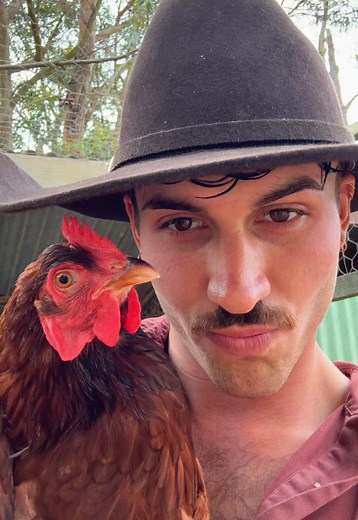 Identifying Every Bird at Hahndorf Farm Barn