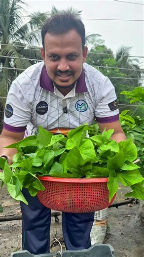 Vegetables You Plant Once and Harvest All Year | Perennial Vegetables for Every Garden #agriculture