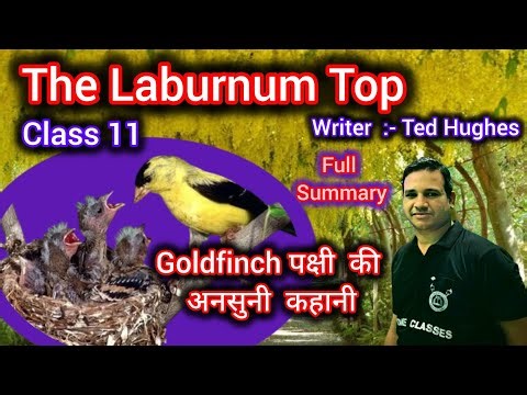 The Laburnum Top Class 11 Full Summary with Explanation ( JAC & CBSE ) For MCQ by Rajesh Sir ( Sbg )