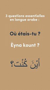3 questions essentielles à ne pas rater en langue arabe ! N’hésite pas à t’abonner pour en apprendre davantage ! Pour ceux qui veulent aller plus loin et progresser considérablement en langue arabe, retrouvez vos documents gratuitement dans notre bio. #apprendrelarabe #coursdarabe #apprentissage #larabefacilement | Apprendre l'Arabe Facilement