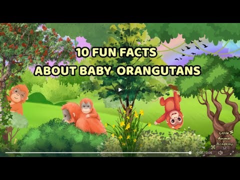 10 FUN FACTS ABOUT BABY ORANGUTAN