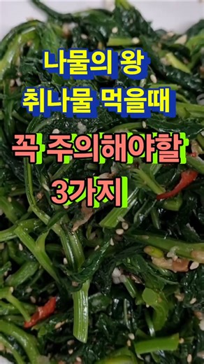나물의 왕 취나물🌿 효능과 꼭 알아야 할 주의사항 3가지!