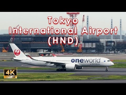【4K】Plane spotting at Tokyo Int'l Airport (HND)【iP16Pro】