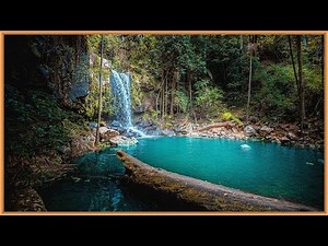 FILMING Hidden Gems In Mount Tamborine Queensland // Curtis Falls & Witches Falls