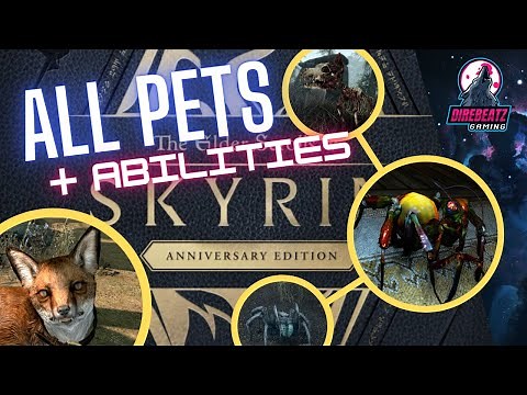 Skyrim AE | How To Get All 10 Teleport Pets & Pet Abilities Explained
