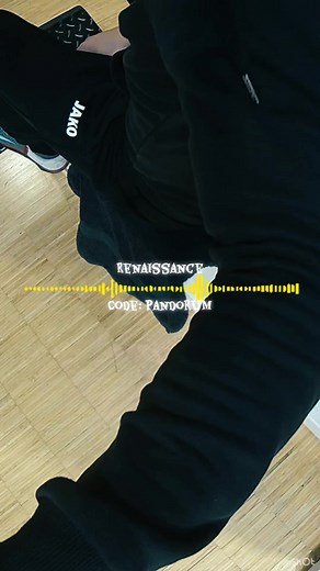 🎵 Renaissance 👨‍🎤 Code: Pandorum Folge für mehr Musik im GYM 🎶💪 ##musik##gym##new##sound##sport