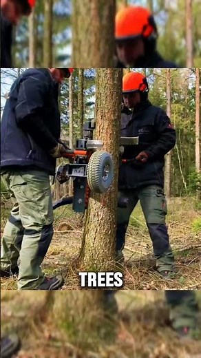 A Machine That Climbs Trees and Cuts Branches