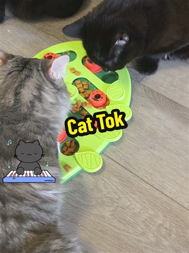 Keeping Your Cats Happy & Active | Motion-Activated Toys & Maze Feeders 🐱 Happy cats aren’t just fed — they’re engaged, active and mentally stimulated. That’s why a selection of motion-activated toys and maze feeders is one of the easiest ways to keep cats entertained, especially indoor cats. Because a bored cat will always find their own fun… usually at 3am 😅 Why Cats Need More Than Just Toys Cats are natural hunters, problem-solvers and explorers. Giving them toys that move and feeders that 