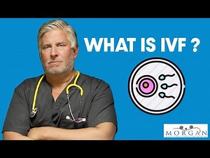 What is IVF?