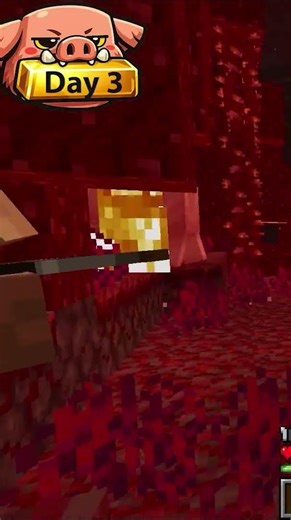 Piglins Did WHAT?! #minecraft