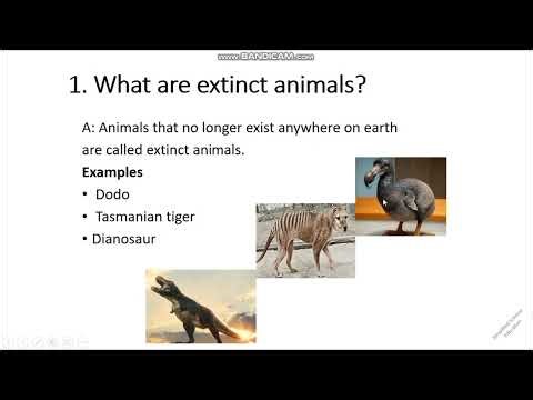 Class 5 New Oxford primary science unit 1
