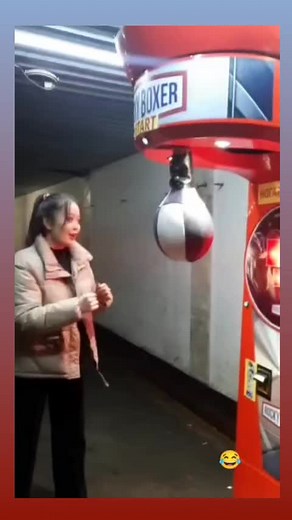 ~Sabikosh~ on TikTok