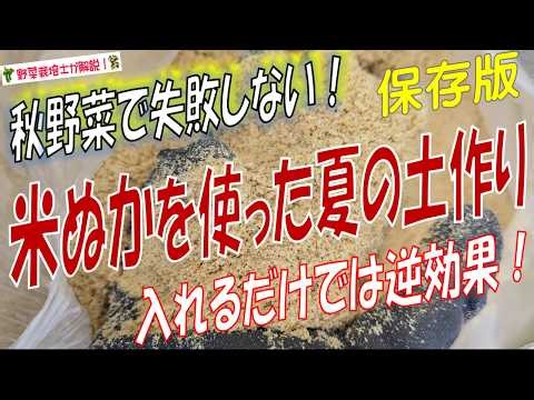 秋野菜の土作りで失敗しない！米ぬかの正しい使い方