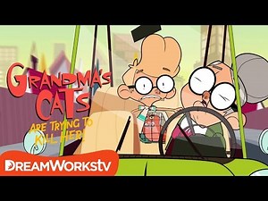 Deadly Drive To The Vet | GRANDMA'S CATS ARE TRYING TO KILL HER