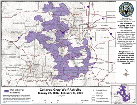 Colorado’s wolves press into southeast counties in February
