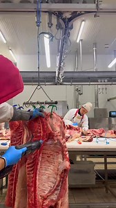 25K views · 143 reactions | "With skilled hands and steady focus, a butcher expertly uses a saber saw to cut through ribs, ensuring each slice is precise and clean for the perfect cut of meat." #kabuono #dissosatore #samahanngmgabutcher #italy #butcher #butchersaitaly #deboning #Buscaini #Rome #pim #pinoyabroadreels #OFW #pinoy #pinoybutcher #cutting | Webster David | Facebook