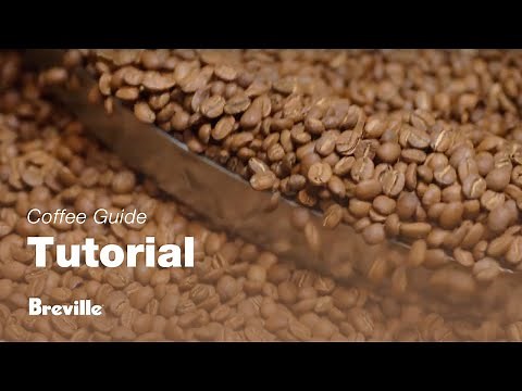 The Barista Express® Impress | Discover how fresh coffee beans enhance your espresso | Breville USA