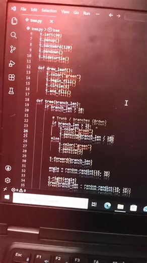 saumya on Instagram: "Draw a tree using python #pythonprogramming #techreels #knowledge #codinglife #studentlife"