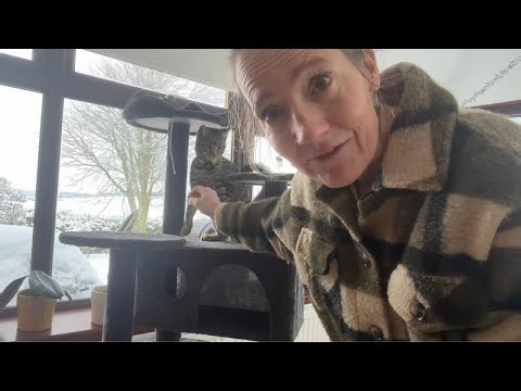 Sturdy Cat Tree for Climbing, Scratching & Lounging - Review