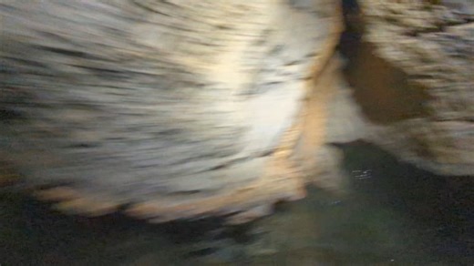 30K views · 626 reactions | The first 500' of this local, wet, horizontal, & roadside cave here in Tennessee. #tennessee #caves #spring | TAG Caver | Facebook