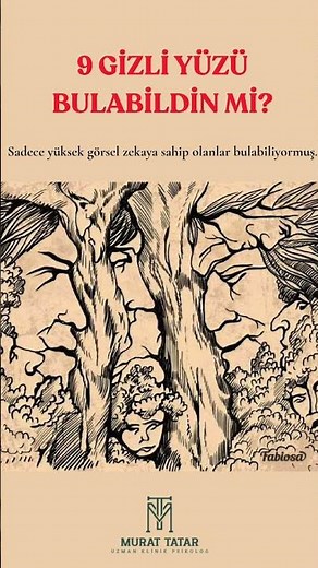 How Many of the 9 Hidden Faces Did You Find? “Visual Attention Test”