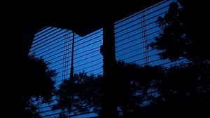 5.7K views · 118 reactions | Mac DeMarco - Chamber of Reflection (Lyrics) | Music evolution | Facebook