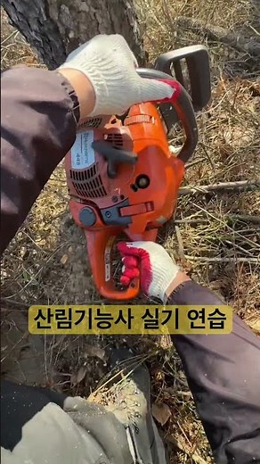 산림기능사 수구추구 연습&실전#엔진톱 #산림기능사실기 #체인톱