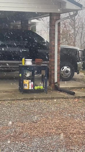 47 reactions · 10 comments | I was cozied up in my office, doing some online certification training, when suddenly I was interrupted by whining - looked out and saw Dozer, looking in￼￼ | Tracey Stahoski Erickson | Facebook