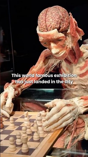 Body Worlds - Now Open