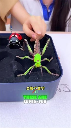 👏🐞🦗Super fun and ultra realistic insect models!#shorts