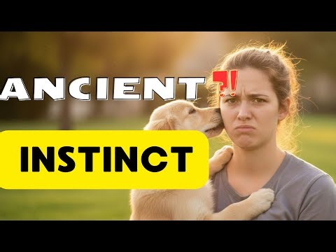 Why Your Dog Licks Your Face — It’s an Ancient Survival Instinct