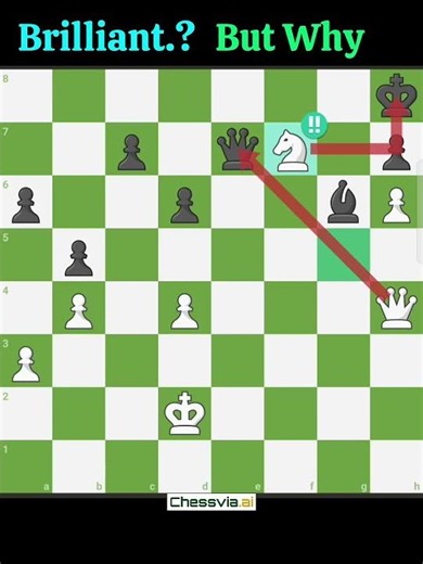 Brilliant Knight Sacrifice.But Why‼️🐴#puzzle #memes #2movescheckmate #chessgame #chess #rook