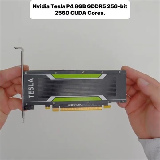 I tried Bazzite OS on an Nvidia Tesla P4, and the results shocked me!