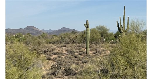 Carefree Park Announces Major Step Toward Preserving 48-Acres of Open Desert
