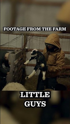 Building a Lamb Nursery at Pol Farm in a RACE Against Time 🐑🧱⏰ #drpol