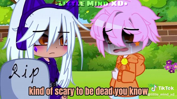 Why Didn't You Save Her? Poker Face Meme Gacha Meme Aphmau Episode