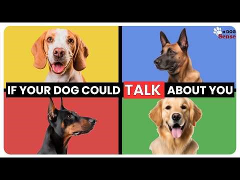What Your Dog's Breed Says About You | Psychology Explained