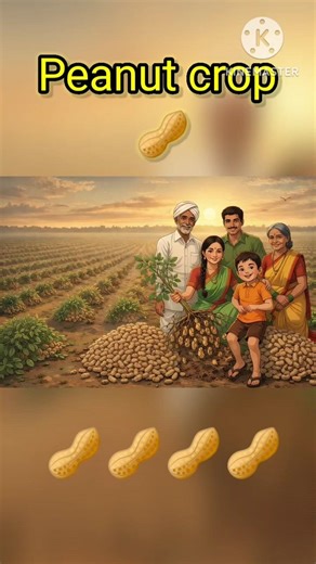 Full video Link see above 👆