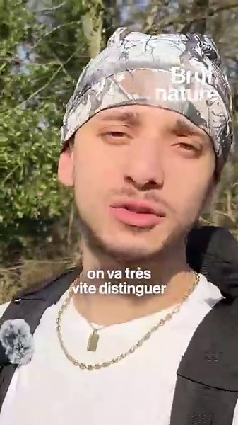 Il observe les serpents de France.