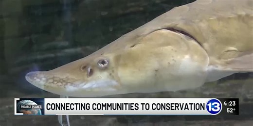 Project Planet: Connecting communities with conservation