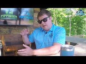 Why Diving Boards Are Trending Away